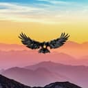 Crypto Raven