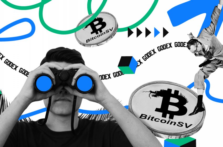 Bitcoin SV (BSV) price prediction in 2025