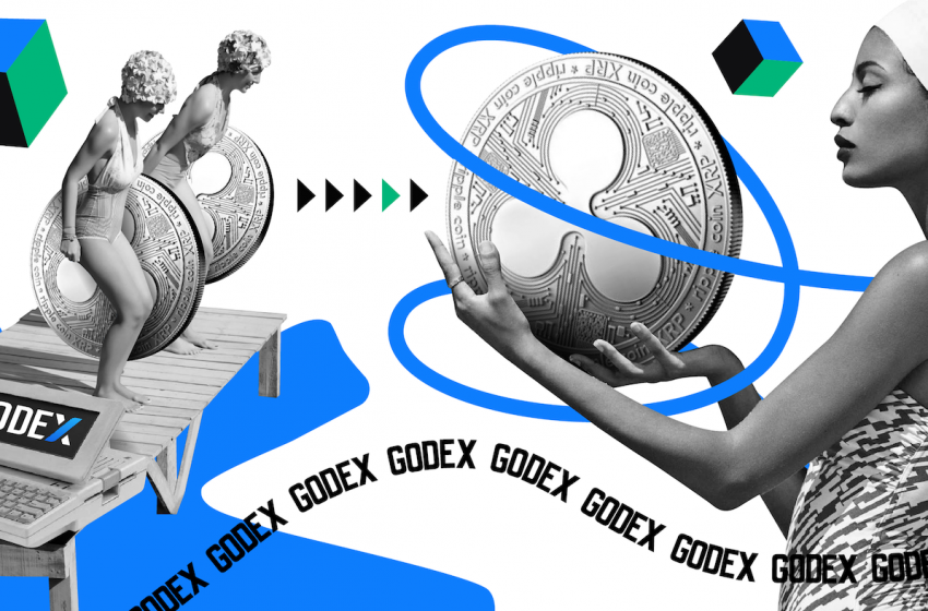 Ripple (XRP) review and price prediction