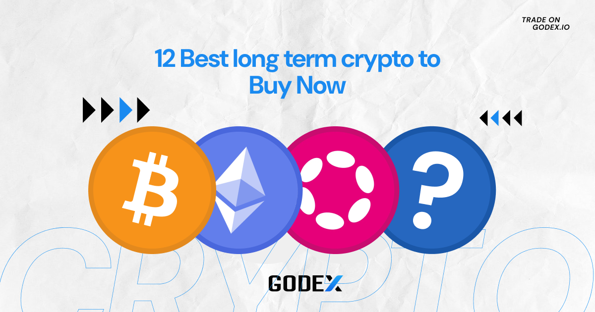 12 Best long term crypto to Buy Now