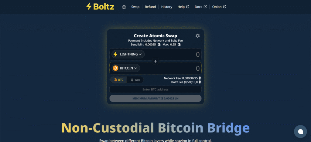 Boltz submarine swap interface for Bitcoin transactions among best no KYC crypto exchanges in India