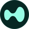 Hyperliquid logo - user-friendly gateway for best kyc-free crypto exchanges 