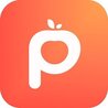 Peach Bitcoin P2P marketplace logo featuring Swiss regulatory compliance design among best no kyc crypto exchanges in the United States