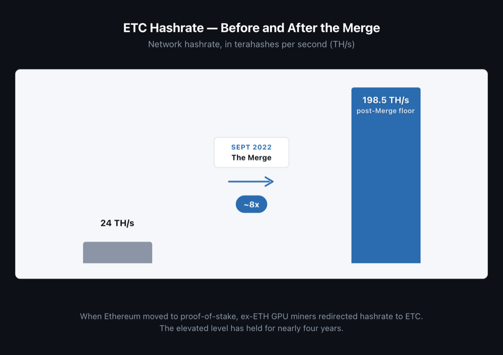 Before/after bars showing post-Merge ETC hashrate jump from 24 TH/s to 198.5 TH/s (~8x).