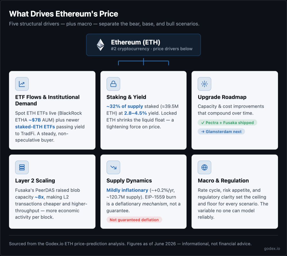 Diagram of what drives the Ethereum price: ETF flows, staking (~32% of supply), the upgrade roadmap (Pectra and Fusaka shipped, Glamsterdam next), Layer 2 scaling, and mildly inflationary supply dynamics.