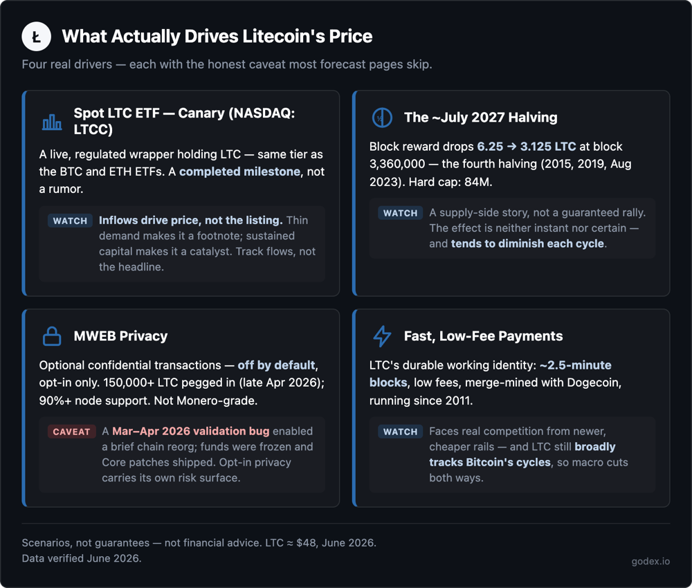 Diagram of what drives Litecoin's price, each with an honest caveat: the spot LTC ETF (inflows drive price, not the listing), the ~July 2027 halving (diminishing impact), opt-in MWEB privacy (with the 2026 validation-bug caveat), and fast low-fee payments.
